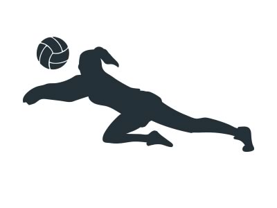 NOMOS LLC Application - Volleyball